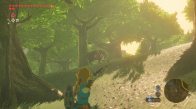 Screenshot på The Legend of Zelda Breath of the Wild - Nintendo Switch 2 Edition (Bergsala UK4)