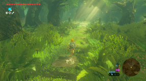 Screenshot på The Legend of Zelda Breath of the Wild - Nintendo Switch 2 Edition (Bergsala UK4)