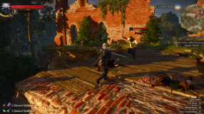 Screenshot på The Witcher III (3) Wild Hunt