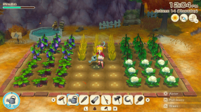 Screenshot på Story of Seasons Grand Bazaar Limited Edition