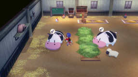 Screenshot på Story of Seasons Grand Bazaar Limited Edition