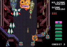 Screenshot på Toaplan Shooters Volume 2 Collectors Edition Bundle