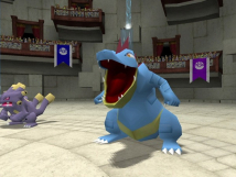 Screenshot på Pokemon Colosseum (Ej Manual)