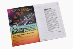 Screenshot på Videospelsmagasinet nr 2 2025