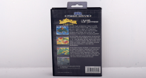 Screenshot på Landstalker The Treaures of King Nole