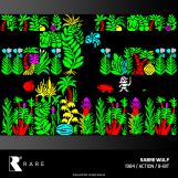 Screenshot på Evercade Multi Game Cartridge 48 - Rare Collection 1