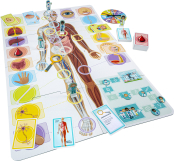 Screenshot på Lär Dig Om Vår Fantastiska Kropp