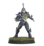 Screenshot på Blood Bowl Dark Elf Team - The Naggaroth Nightmares