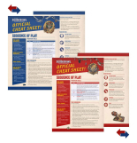 Screenshot på Blood Bowl Third Season Edition