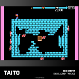 Screenshot på Evercade Multi Game Cartridge 21 - Taito Arcade 3