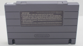 Screenshot på Cyber Spin (Amerikansk Version)