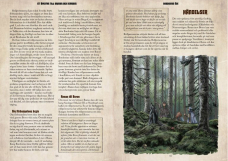 Screenshot på Bordonius Öde - Ett tillbehör till Drakar och Demoner (Inbunden)