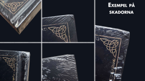 Screenshot på Elden Ring Books of Knowledge Volume III(3): Shadow of the Erdtree (Fraktskadad)