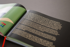 Screenshot på Leaps + Bounds - A Visual Guide to Nine Console Generations (Inbunden)