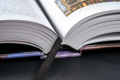 Screenshot på The CRPG Book - A Guide to Computer Role-Playing Games Expanded Edition (Fraktskadade & Inbunden)