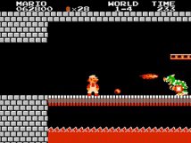 Screenshot på Super Mario Bros SCN